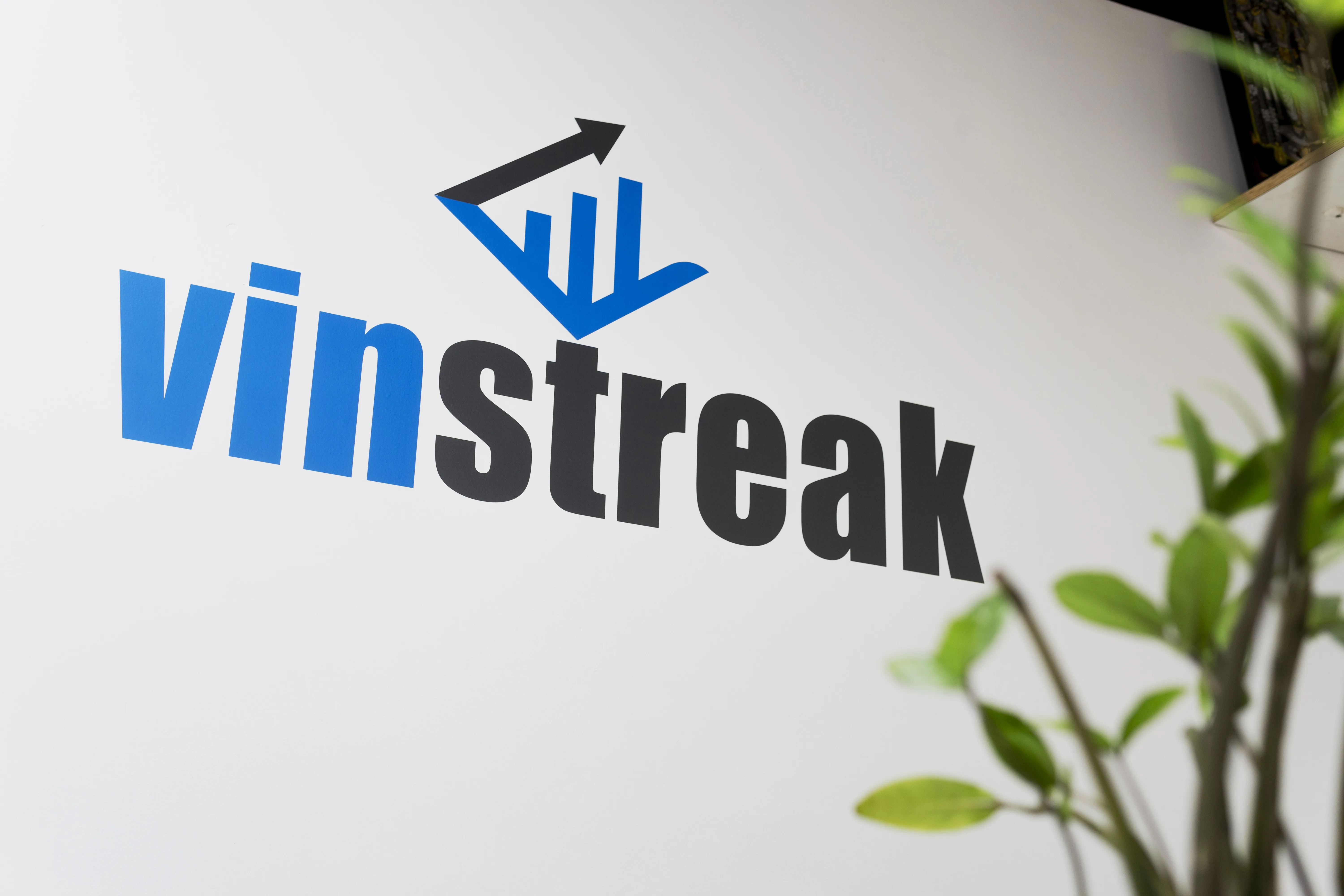 Vinstreak Consulting India team: Virtual CFO, GST, incorporation & bookkeeping experts